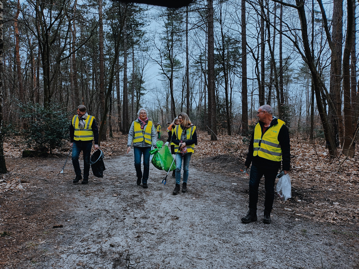a group of people in high-vis collecting litter in the woods