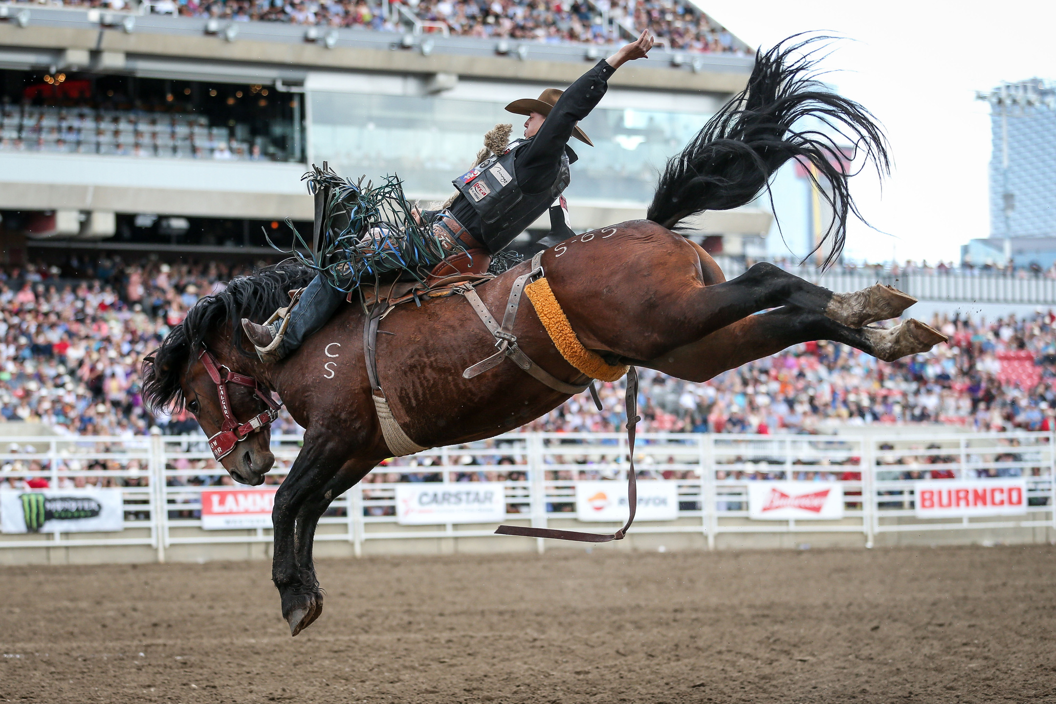 a cowboy riding a bucking horse at a rodeo