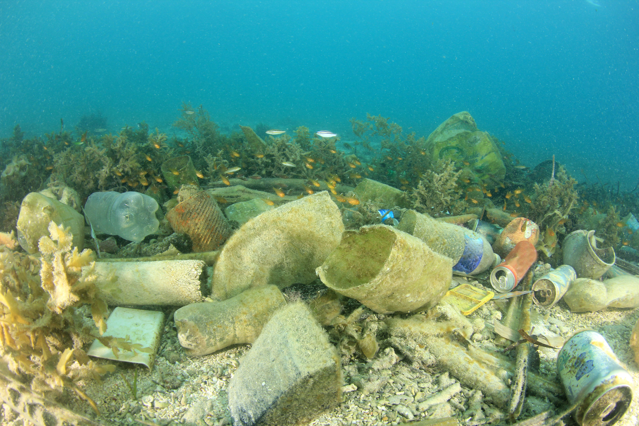 plastic pollution in the pacific ocean