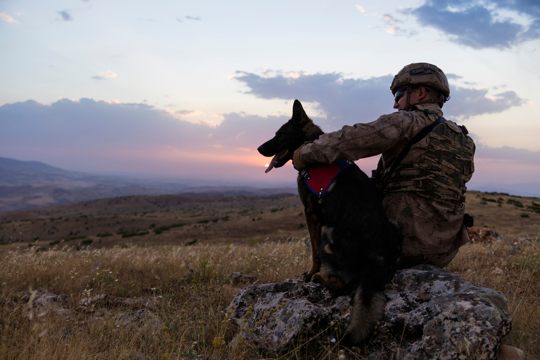 Military Dog and its soldier owner at sunset