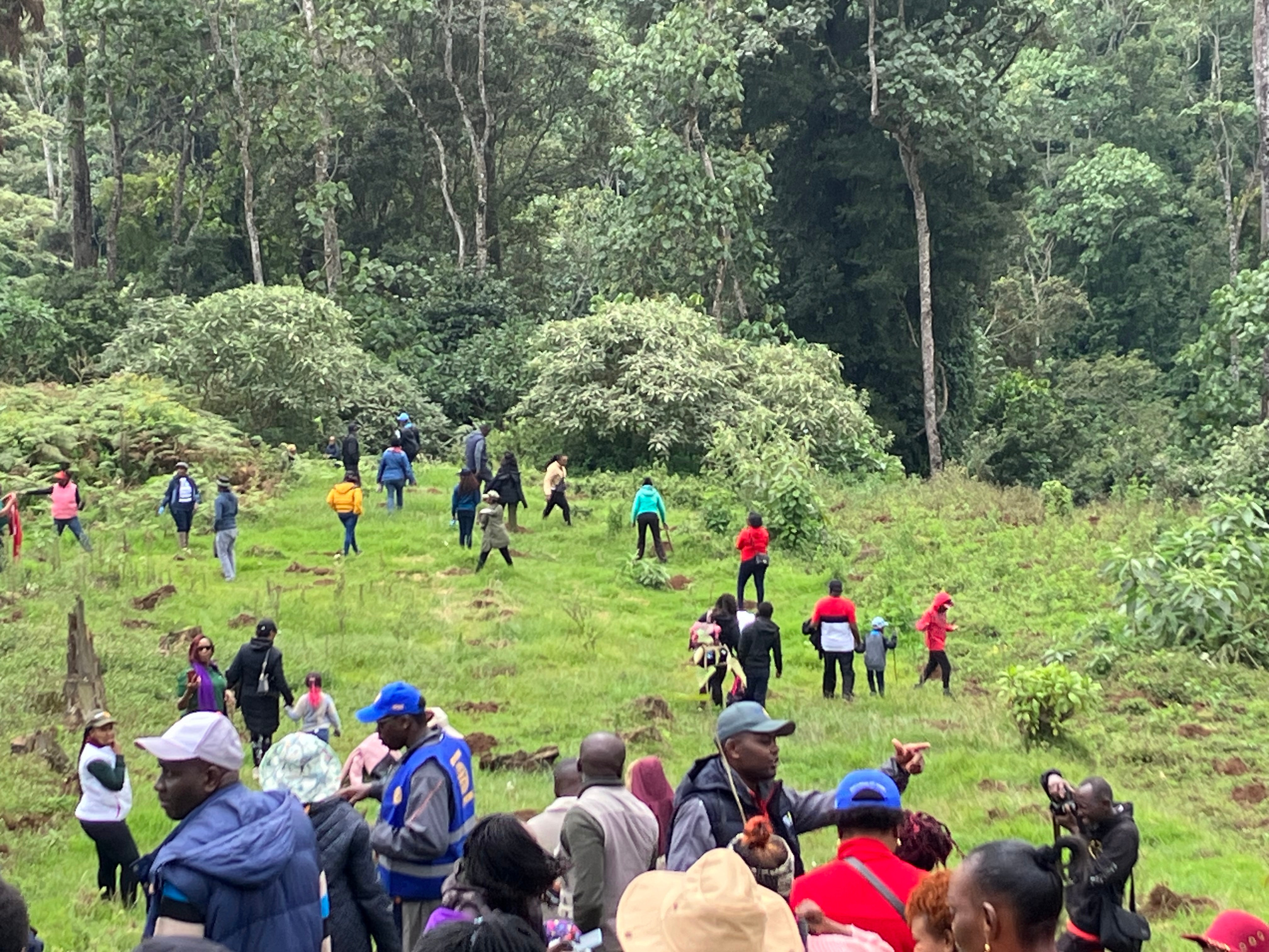 a group of people walking in the woods in Kenya to plant trees