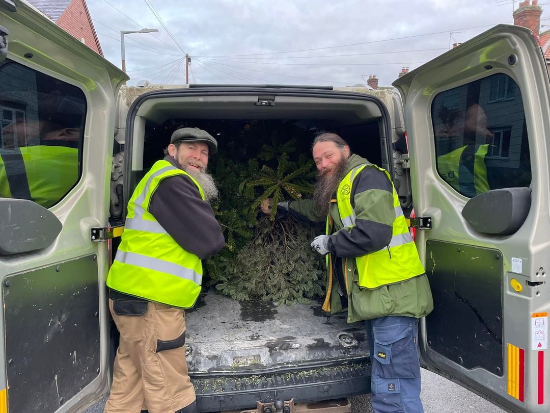 Two Rotary members load Christmas trees into the back of a van