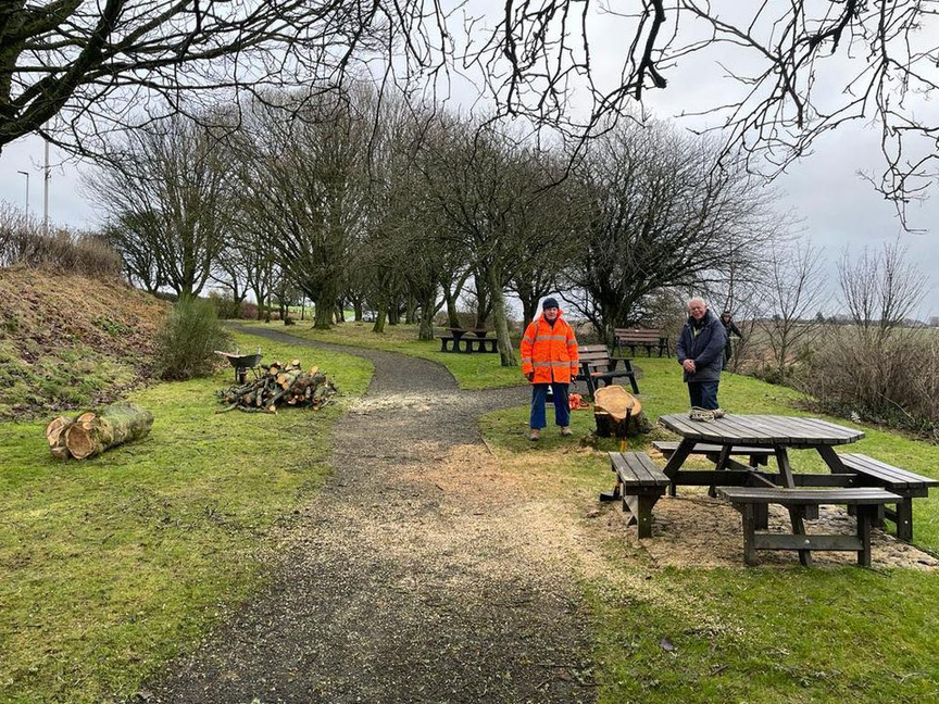 two people standing where the fallen tree was having cleared a path