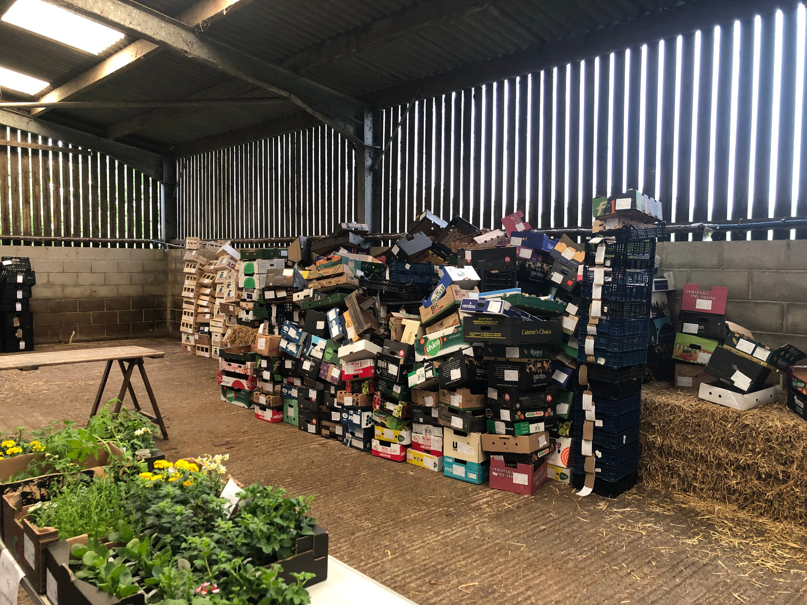 a large pile of boxes and plants in a barn