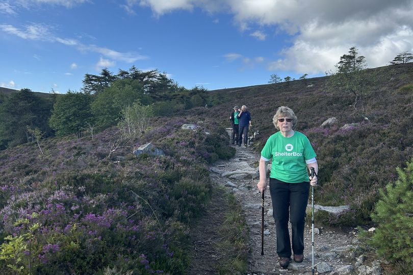 a person wearing a green shirt and hiking poles on a trail