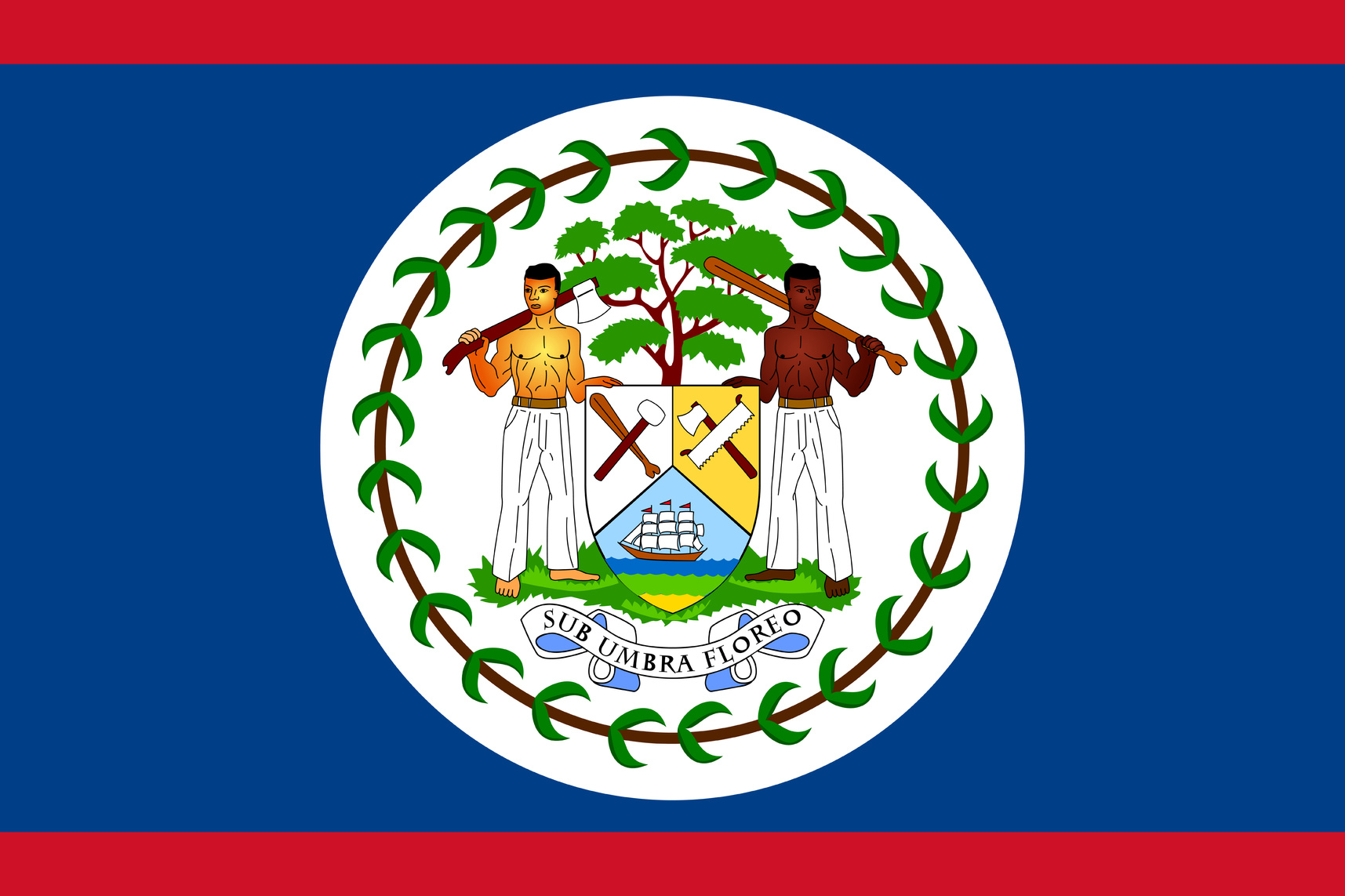 the flag of the state of belize