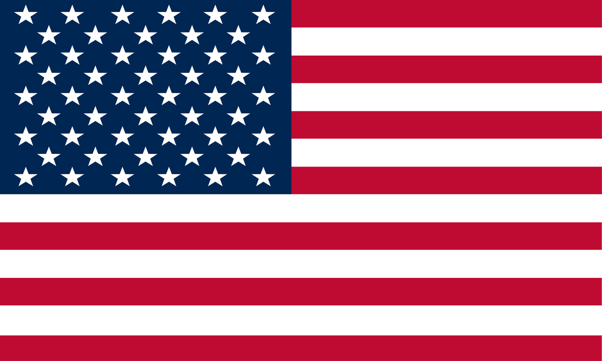 the flag of the united states of america