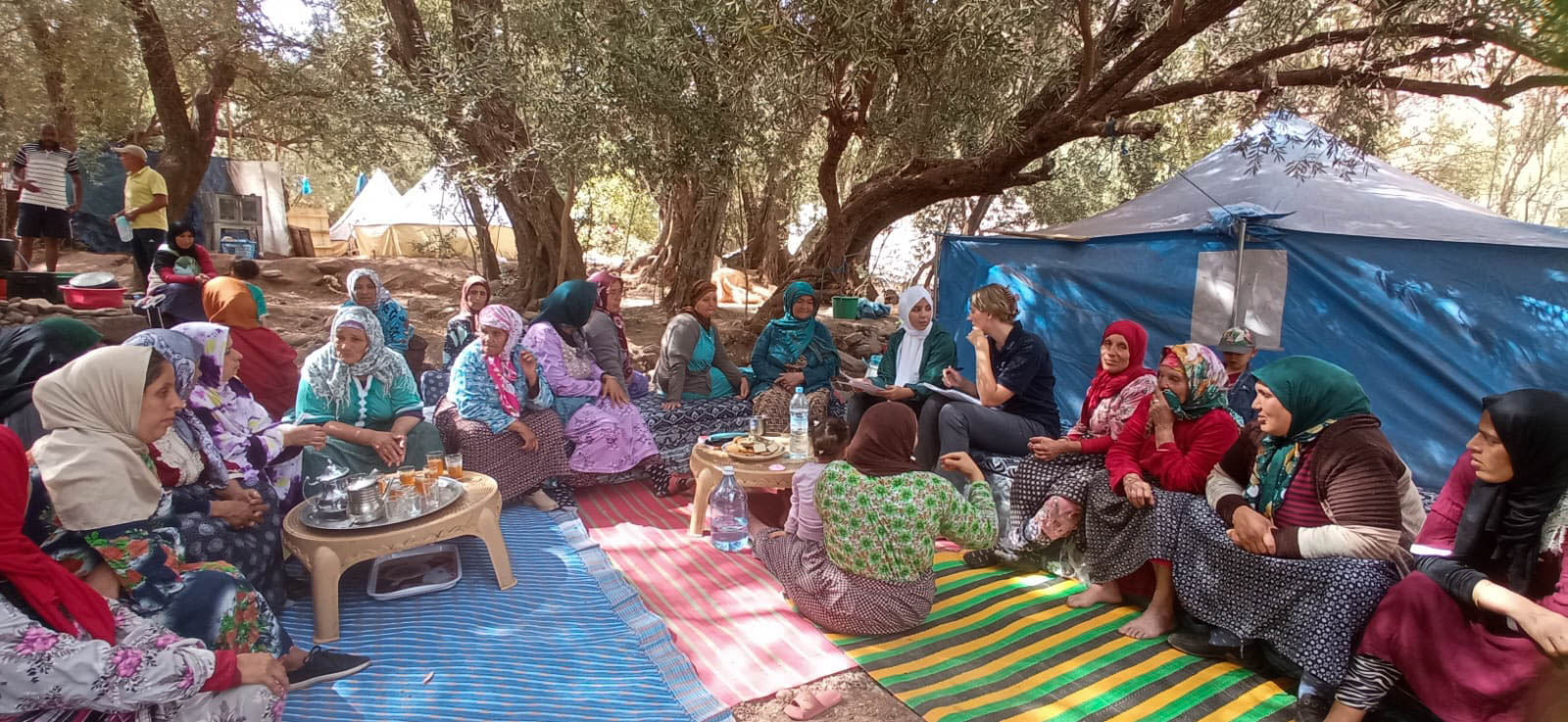 a group of people sitting under an olive tree